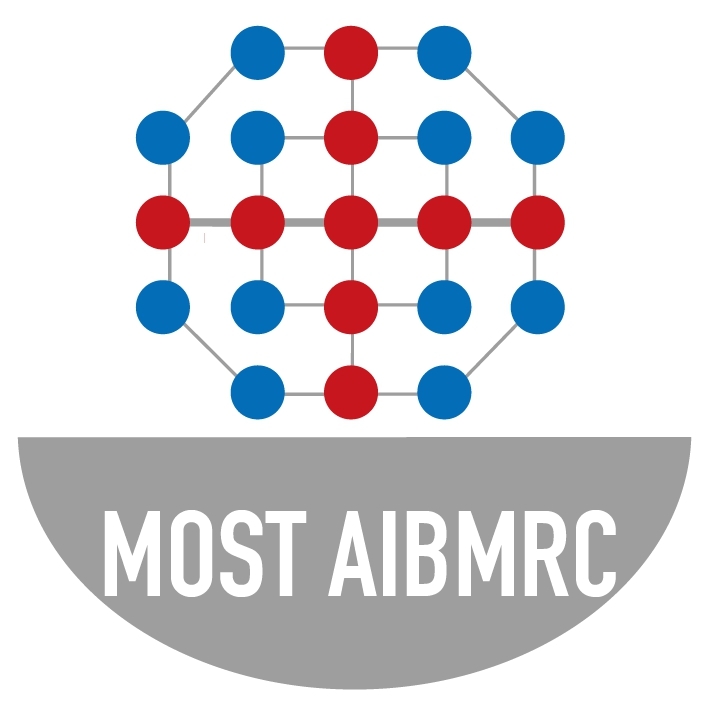 MOST Artificial Intelligence Biomedical Research Center